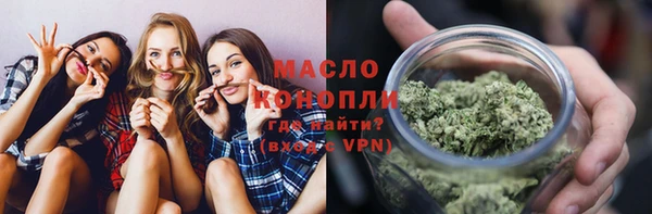 mix Богородицк