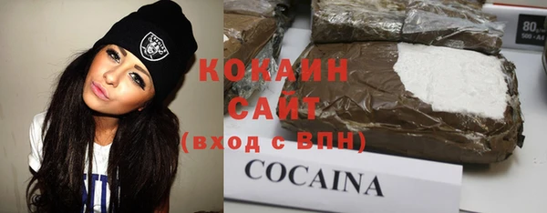 mix Богородицк
