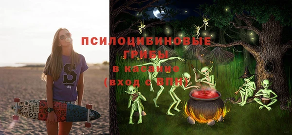 mix Богородицк