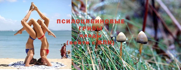 дживик Богданович
