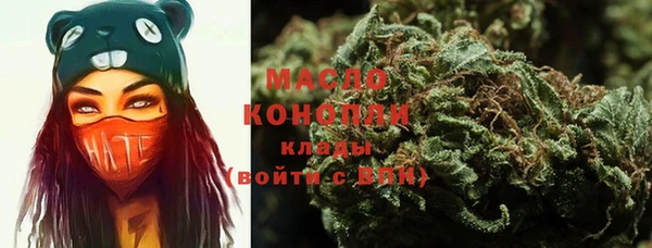 mix Богородицк