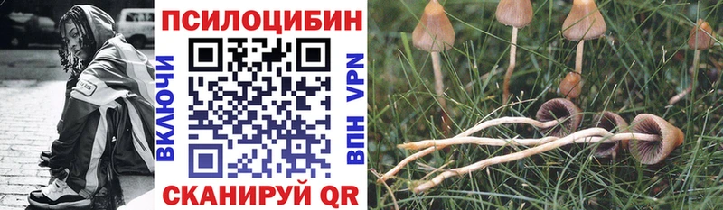дарк нет телеграм  Мурино  Псилоцибиновые грибы ЛСД 